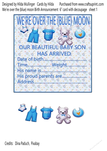 WERE OVER THE (BLUE) MOON  Birth Announcement