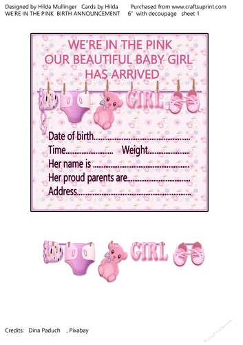 WERE IN THE PINK  Birth Announcement