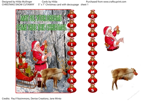 CHRISTMAS SNOW CUTAWAY