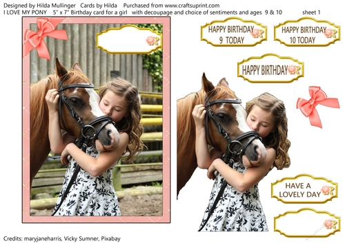 I LOVE MY PONY