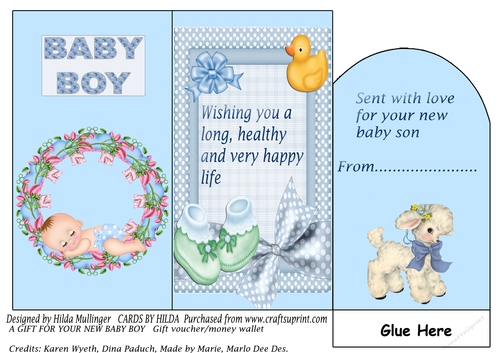 A GIFT FOR YOUR NEW BABY BOY  gift voucher/money wallet