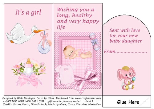 A GIFT FOR YOUR NEW BABY GIRL  gift voucher/money wallet