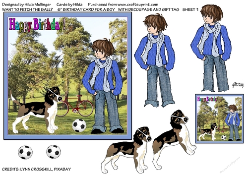 WANT TO FETCH THE BALL?