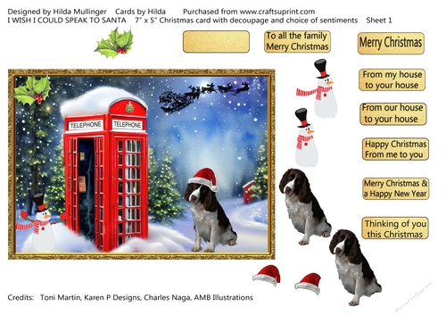 I WISH I COULD SPEAK TO SANTA 1
