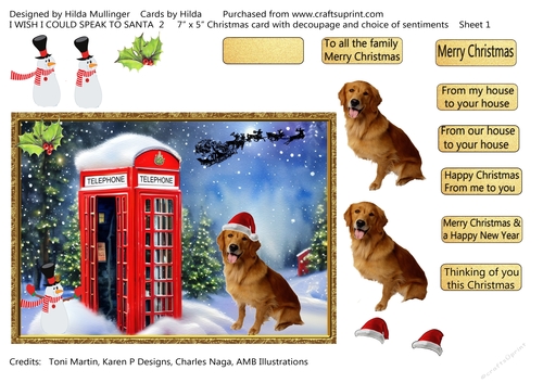I WISH I COULD SPEAK TO SANTA 2