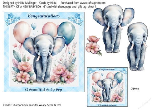 THE BIRTH OF A NEW BABY BOY