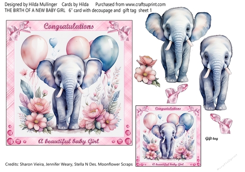 THE BIRTH OF A NEW BABY GIRL