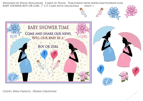BABY SHOWER BOY OR GIRL