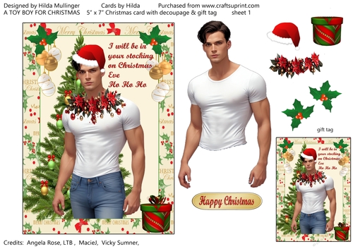 A TOY BOY FOR CHRISTMAS