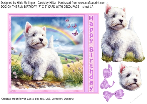 DOG ON THE RUN BIRTHDAY