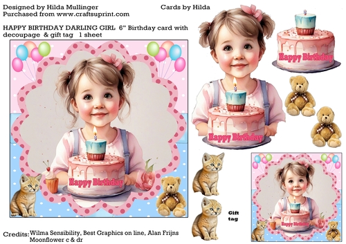 HAPPY BIRTHDAY DARLING GIRL  1 sheet