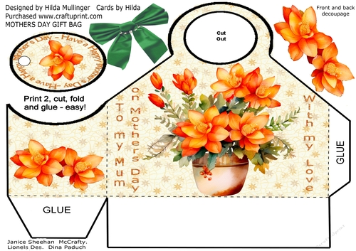 MOTHERS DAY GIFT BAG