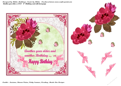 ANOTHER YEAR OLDER  S0 HB