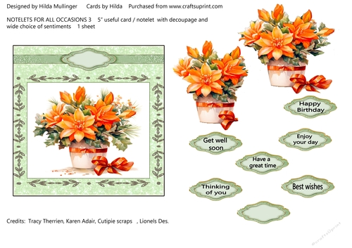 NOTELETS FOR ALL OCCASIONS 3 