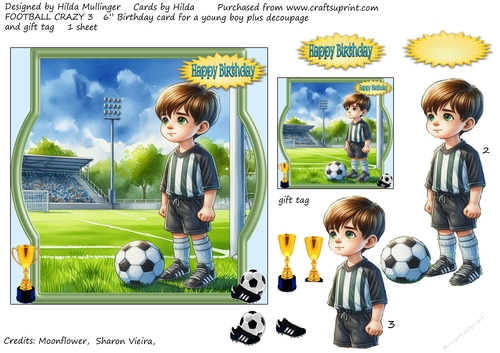Football crazy 3