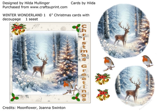 WINTER WONDERLAND 1