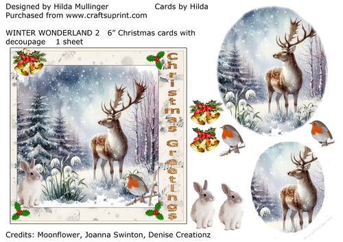 WINTER WONDERLAND 2