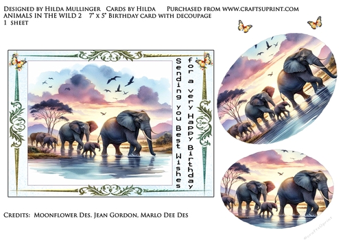 ANIMALS IN THE WILD 2