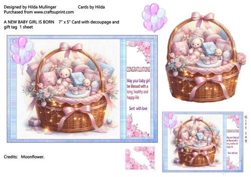 A NEW BABY GIRL IS BORN