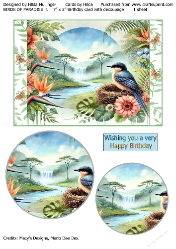 BIRDS OF PARADISE 1