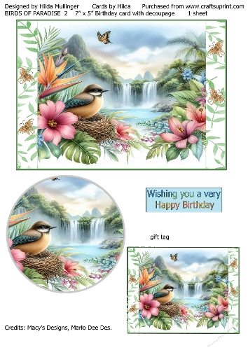 BIRDS OF PARADISE 2