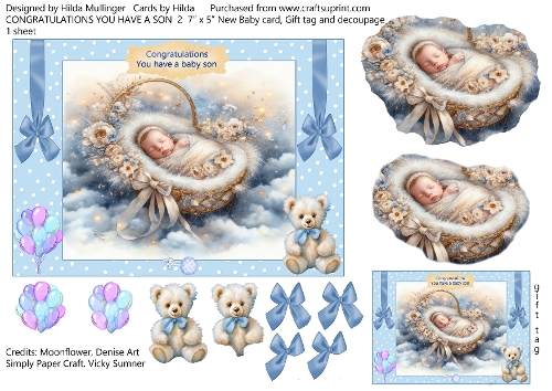 CONGRATULATIONS YOU HAVE A BABY SON 2