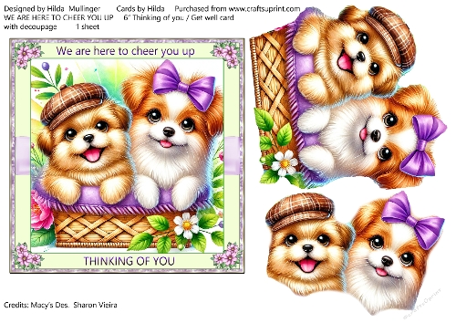 WE ARE HERE TO CHEER YOU UP