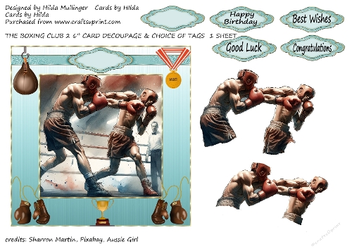THE BOXING CLUB 2
