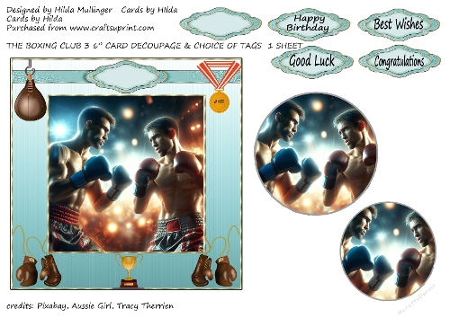 THE BOXING CLUB 3