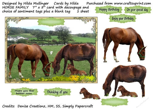 HORSE FAMILY