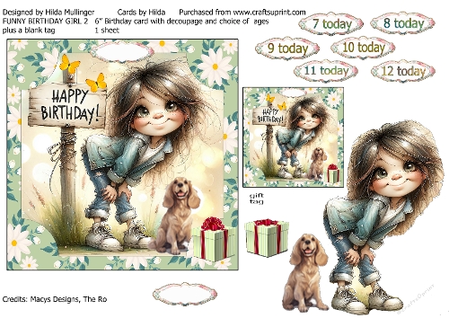FUNNY BIRTHDAY GIRL 2
