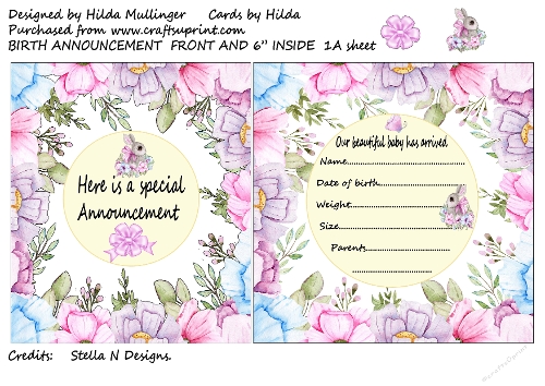 BIRTH ANNOUNCEMENT  FRONT AND 6 INSIDE