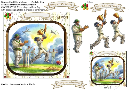 CRICKET BOYS 2