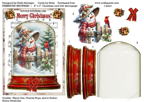 PRESERVED SNOWMAN  1