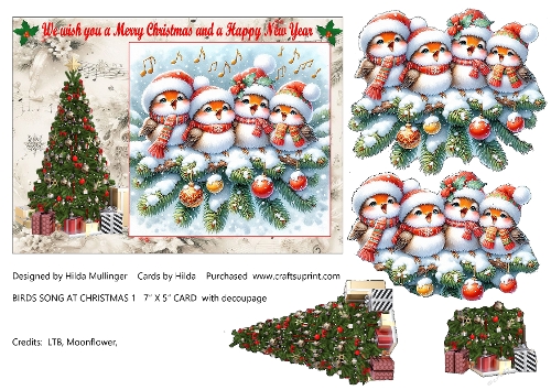 BIRDS SONG AT CHRISTMAS 1