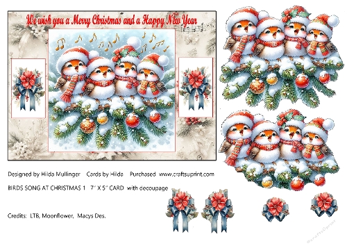 BIRDS SONG AT CHRISTMAS 2
