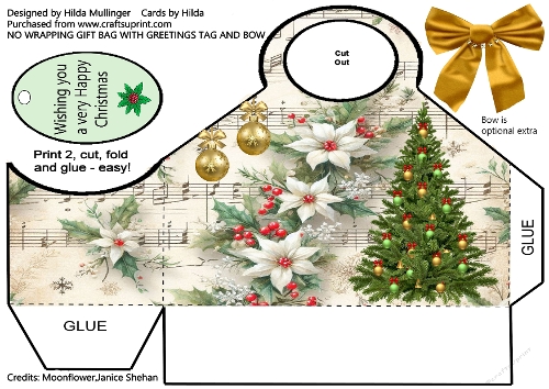 NO WRAPPING GIFT BAG 1