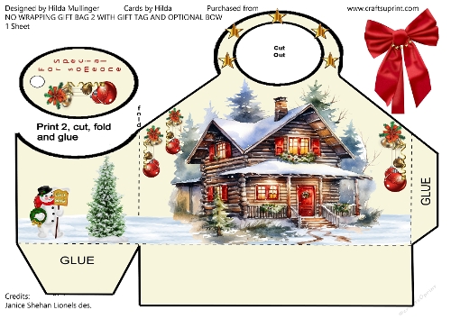 NO WRAPPING GIFT BAG 2