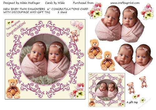 NEW BABY TWIN DAUGHTERS