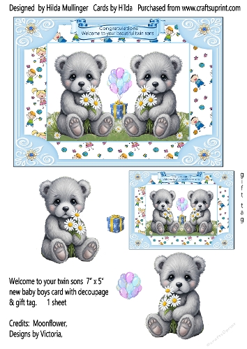 WELCOME TO YOUR BEAUTIFUL TWIN SONS
