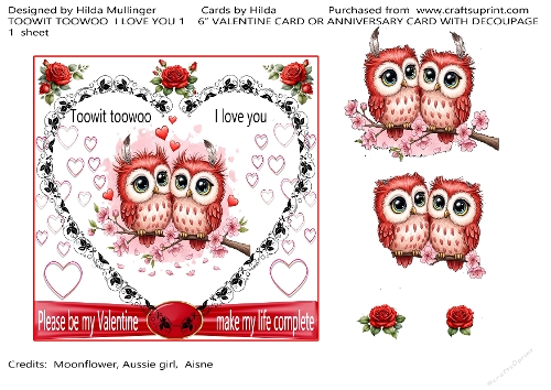 TOOWIT TOOWOO  I LOVE YOU 1