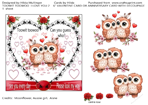 TOOWIT TOOWOO  I LOVE YOU 2