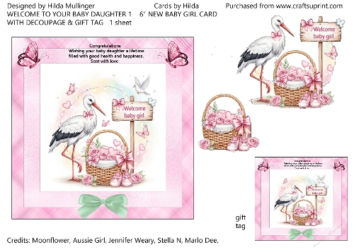 WELCOME TO YOUR BABY DAUGHTER 1