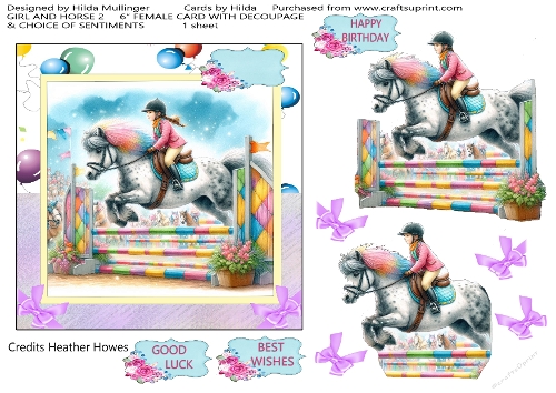 GIRL AND HORSE 2