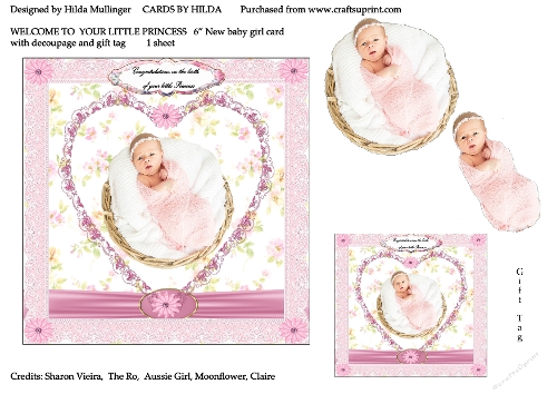 WELCOME TO YOUR LITTLE PRINCESS