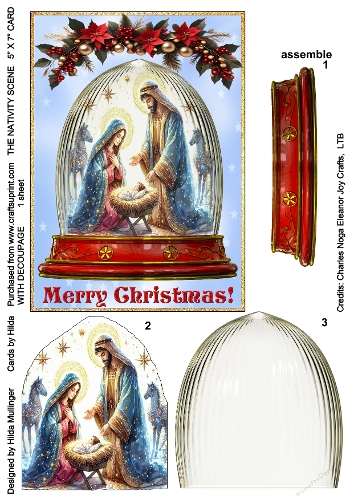 THE NATIVITY SCENE