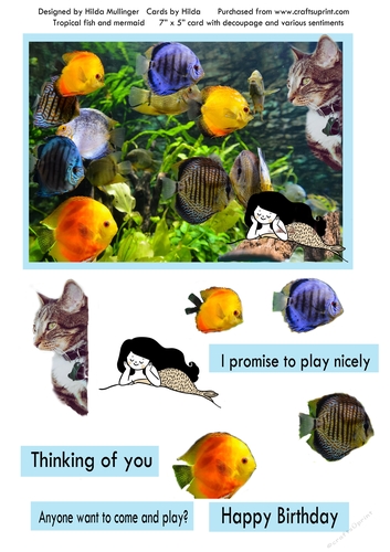 Tropical fish and mermaid