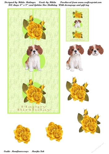 Golden Rose Birthday