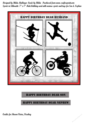 Sports in Silhouette