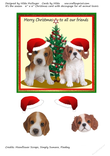 Its the Season